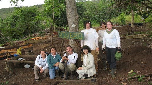 Vapaaehtoistyöntekijöitä tarvitaan sademetsien suojelussa